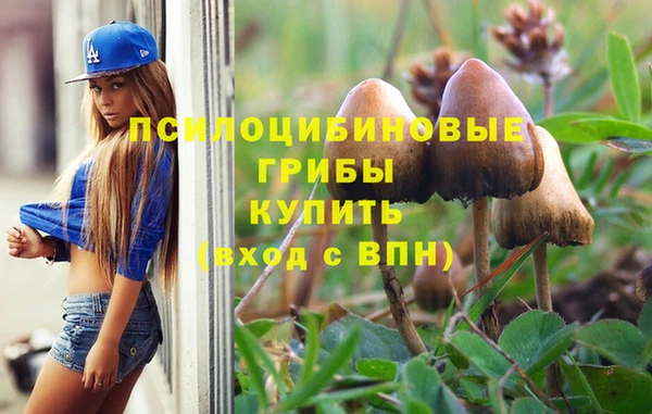 прущие крисы Зерноград