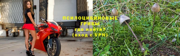 прущие крисы Зерноград
