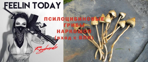 прущие крисы Зерноград