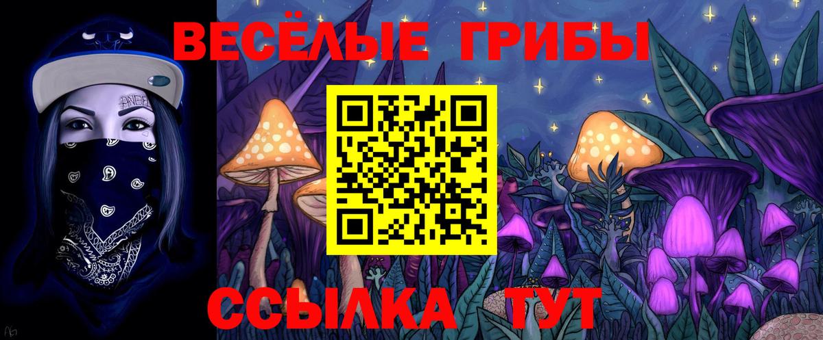 Псилоцибиновые грибы мицелий Когалым