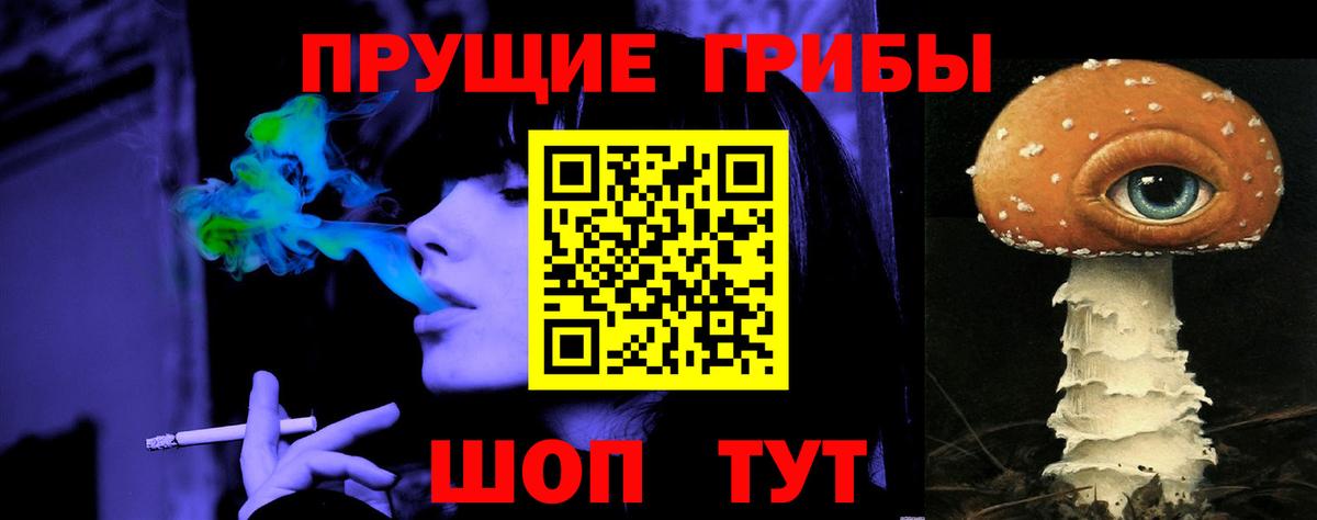 Когалым  Псилоцибиновые грибы MAGIC MUSHROOMS  Вход с VPN  Псилоцибиновые грибы Psilocybe 